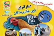  آنفولانزای فوق حاد پرندگان بیماری مشترک بین انسان و دام